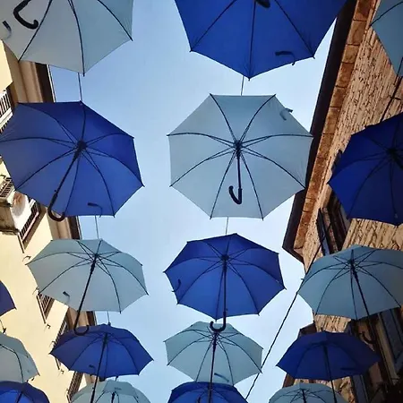 Zadar, County 5