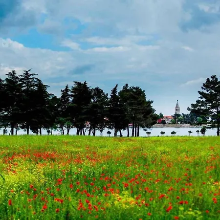 Appartamento Zadar, County 5 *